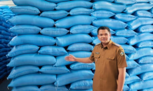 [Foto] Bupati Bantaeng, Uji Nurdin dan Forkopimda melakukan pemantauan hasil produksi gabah petani, Selasa (25/3). (Dok.Kominfo)