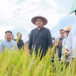 uji nurdin