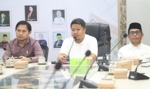 Ari Ashari Ilham