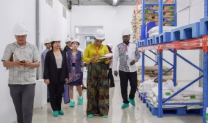 Fix upload_1-262 Nafdac