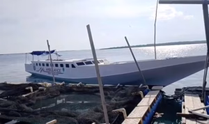 Fix upload_1-354 Ambulance