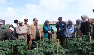 FGD