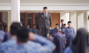 Fix Upload_1-1114 UN
