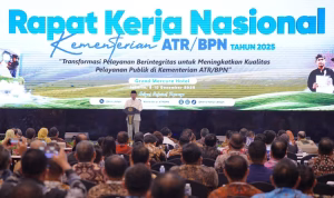 BPN
