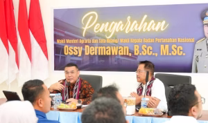 Fix Upload_1-1237 BPN
