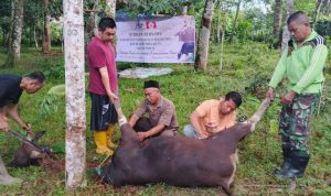 Bupati Bulukumba