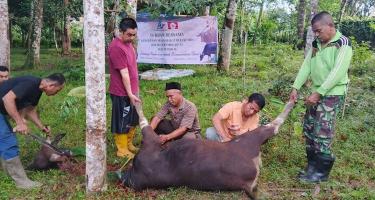 Bupati Bulukumba