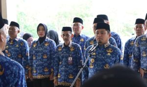 Wali Kota Parepare