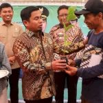 Wali Kota Parepare