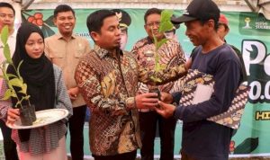 Wali Kota Parepare
