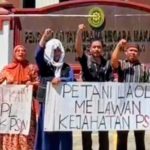 Petani Laoli