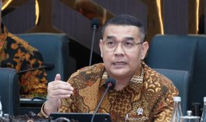 BPN
