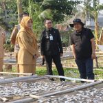 Wali Kota Parepare