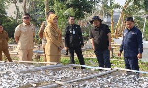 Wali Kota Parepare