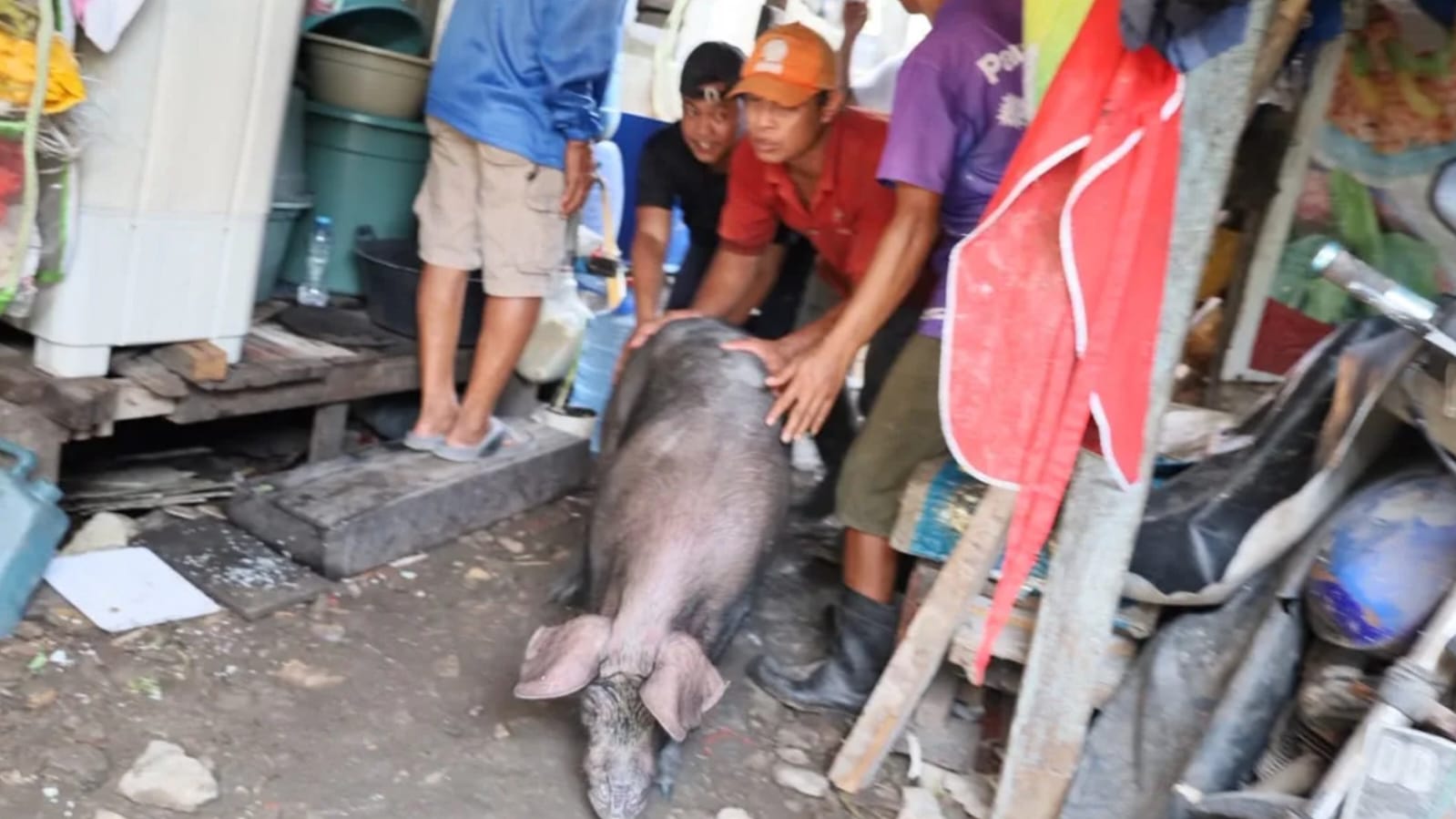 Panakkukang
